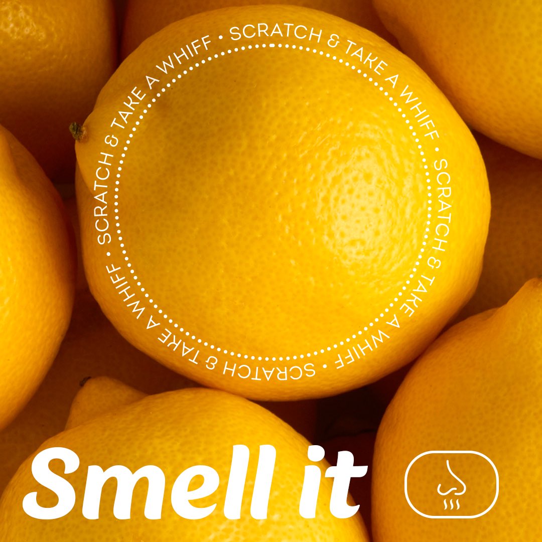 phillycreamchs's tweet photo. You won’t simply read how to cook “Allure”, “Curiosity”, and “Mischievous”. You’ll feel it! Order yours at https://t.co/WnQav1cDKa and touch, smell, see, hear, and even taste feelings. https://t.co/UiCTBiQb9p