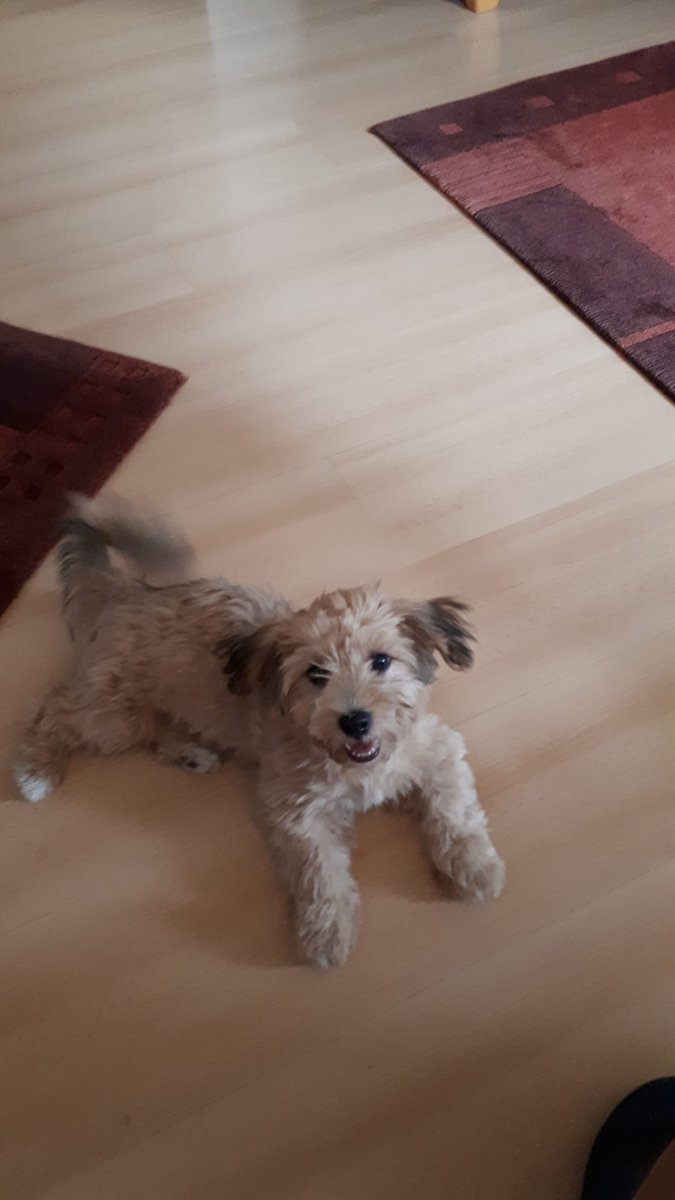 Wann ist sie so groß geworden? 😍