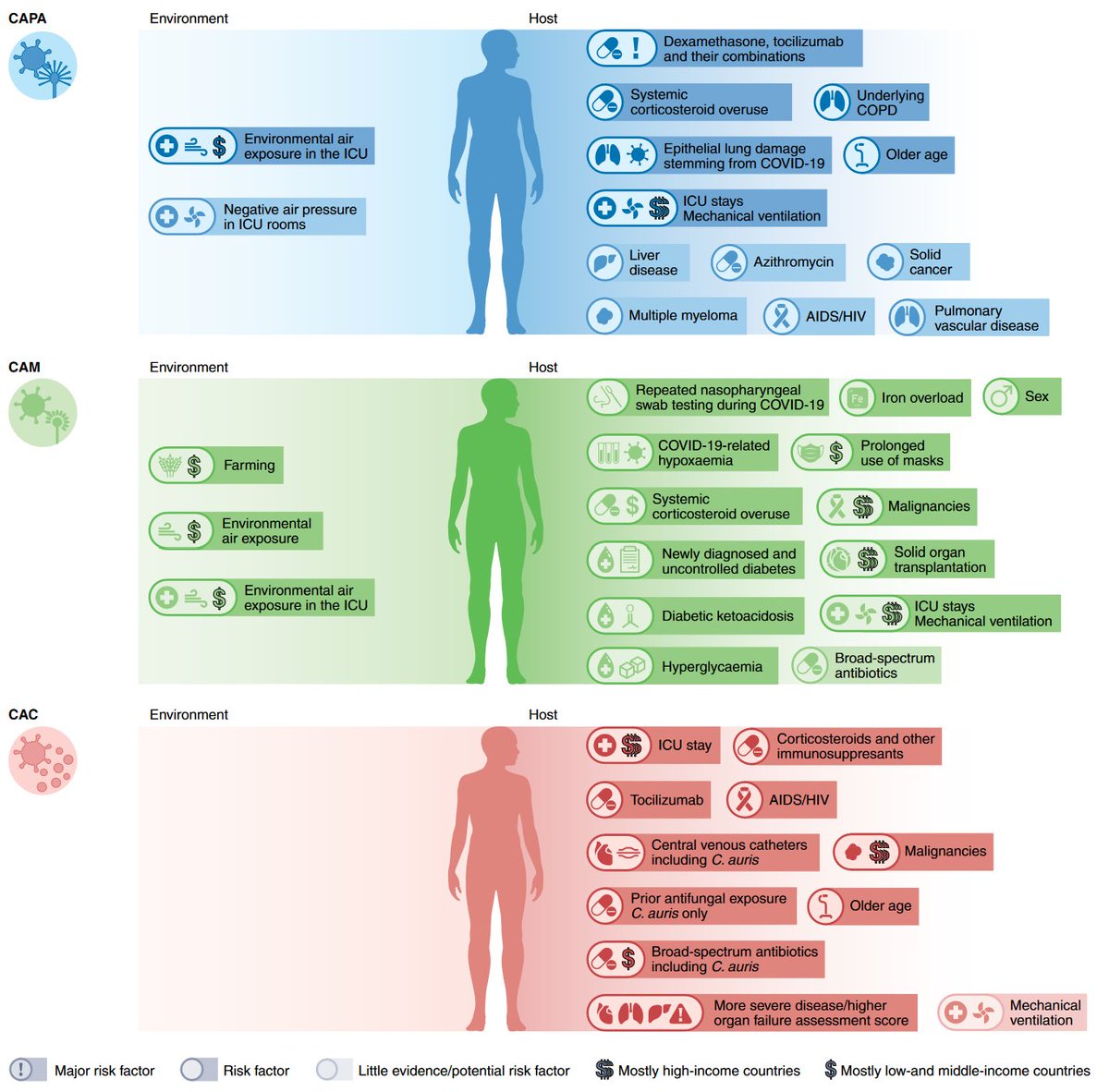 Rosanne Sprute (@rosannesprute) on Twitter photo <a href="/NatureMicrobiol/">Nature Microbiology</a> <a href="/martinhoenigl/">Martin Hoenigl🇺🇦🇦🇹</a> <a href="/seidel_dani/">Dani Seidel</a> <a href="/IbrahimLab3/">Dr. Ashraf S Ibrahim's Lab</a> <a href="/matteosciart/">Matteo Oliverio</a> <a href="/CornelyOliver/">Oliver Cornely</a> <a href="/FungiScope/">FungiScope</a> <a href="/eurconfmedmycol/">ECMM</a> <a href="/ISHAM_Mycology/">ISHAM</a> <a href="/LIFEworldwide/">LIFE Worldwide</a> @Adilia76645023 nature.com/articles/s4156… <a href="/NatureMicrobiol/">Nature Microbiology</a> <a href="/martinhoenigl/">Martin Hoenigl🇺🇦🇦🇹</a> <a href="/seidel_dani/">Dani Seidel</a> <a href="/IbrahimLab3/">Dr. Ashraf S Ibrahim's Lab</a> <a href="/matteosciart/">Matteo Oliverio</a> <a href="/CornelyOliver/">Oliver Cornely</a> <a href="/FungiScope/">FungiScope</a> <a href="/eurconfmedmycol/">ECMM</a> <a href="/ISHAM_Mycology/">ISHAM</a> <a href="/LIFEworldwide/">LIFE Worldwide</a> @Adilia76645023 nature.com/articles/s4156…