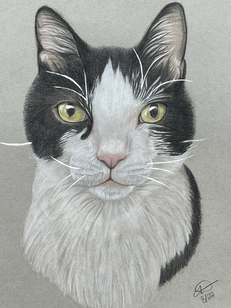 FaithxCreate's tweet photo. Major Tom reporting for duty #commissionsopen #CommissionedArt #petportrait https://t.co/f2F0EoPdqV