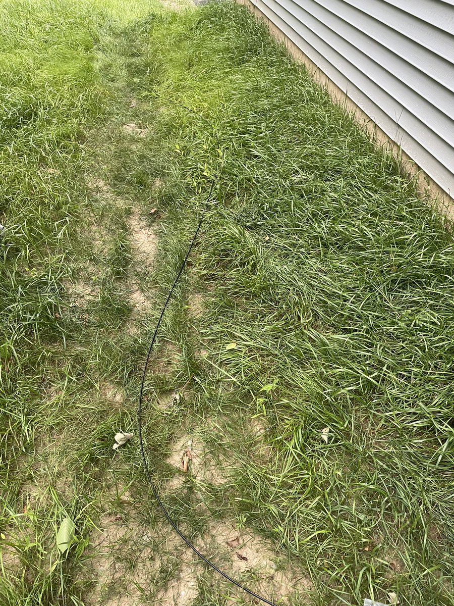 Zack Rosen tweet media