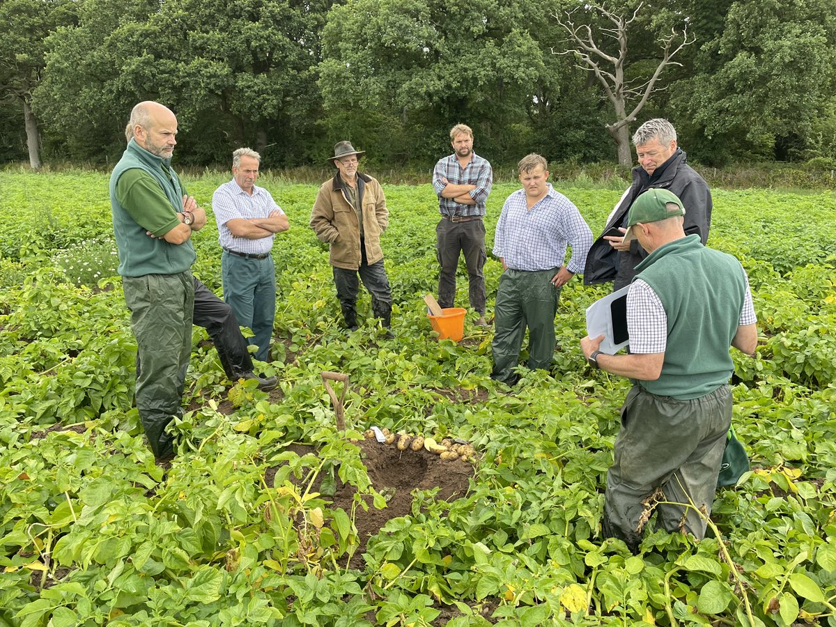 Alex Moore tweet media