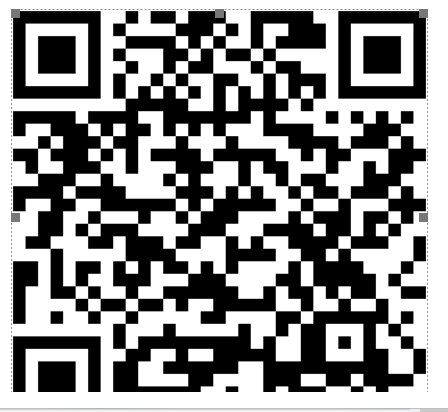 Kelly Longo tweet media