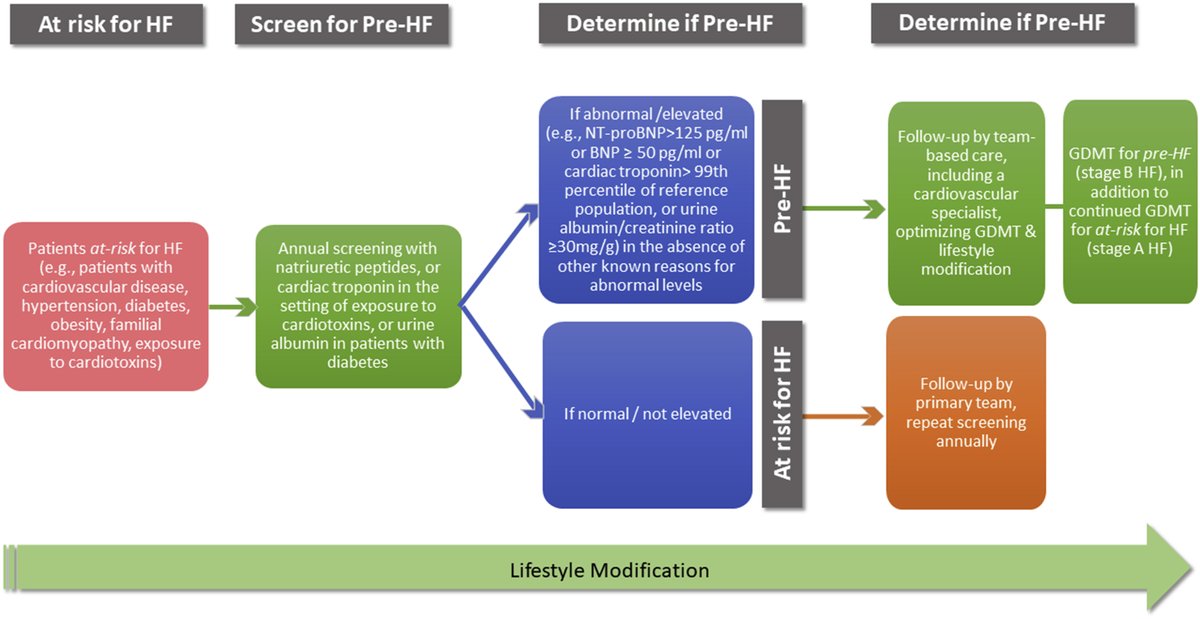 Kevin S Shah, MD (@kevinshahmd) on Twitter photo When (and how) should we consider screening for #HeartFailure in patients at risk (e.g. Stage A)?
jacc.org/doi/10.1016/j.…
Editorial by <a href="/BiykemB/">BiykemBozkurt</a> in <a href="/JACCJournals/">JACC Journals</a> #JACCHF When (and how) should we consider screening for #HeartFailure in patients at risk (e.g. Stage A)?
jacc.org/doi/10.1016/j.…
Editorial by <a href="/BiykemB/">BiykemBozkurt</a> in <a href="/JACCJournals/">JACC Journals</a> #JACCHF
