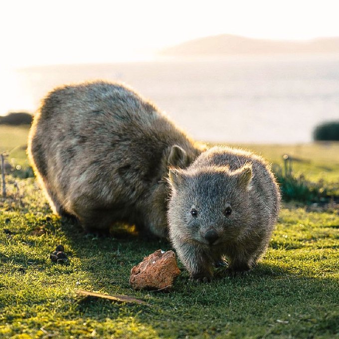 Watch Australia's leaked NSFW photo on TwXstars