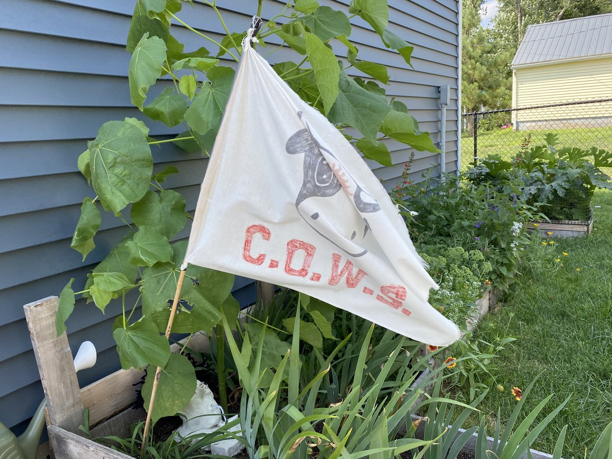 Team C.O.W.S. #GISH tweet media