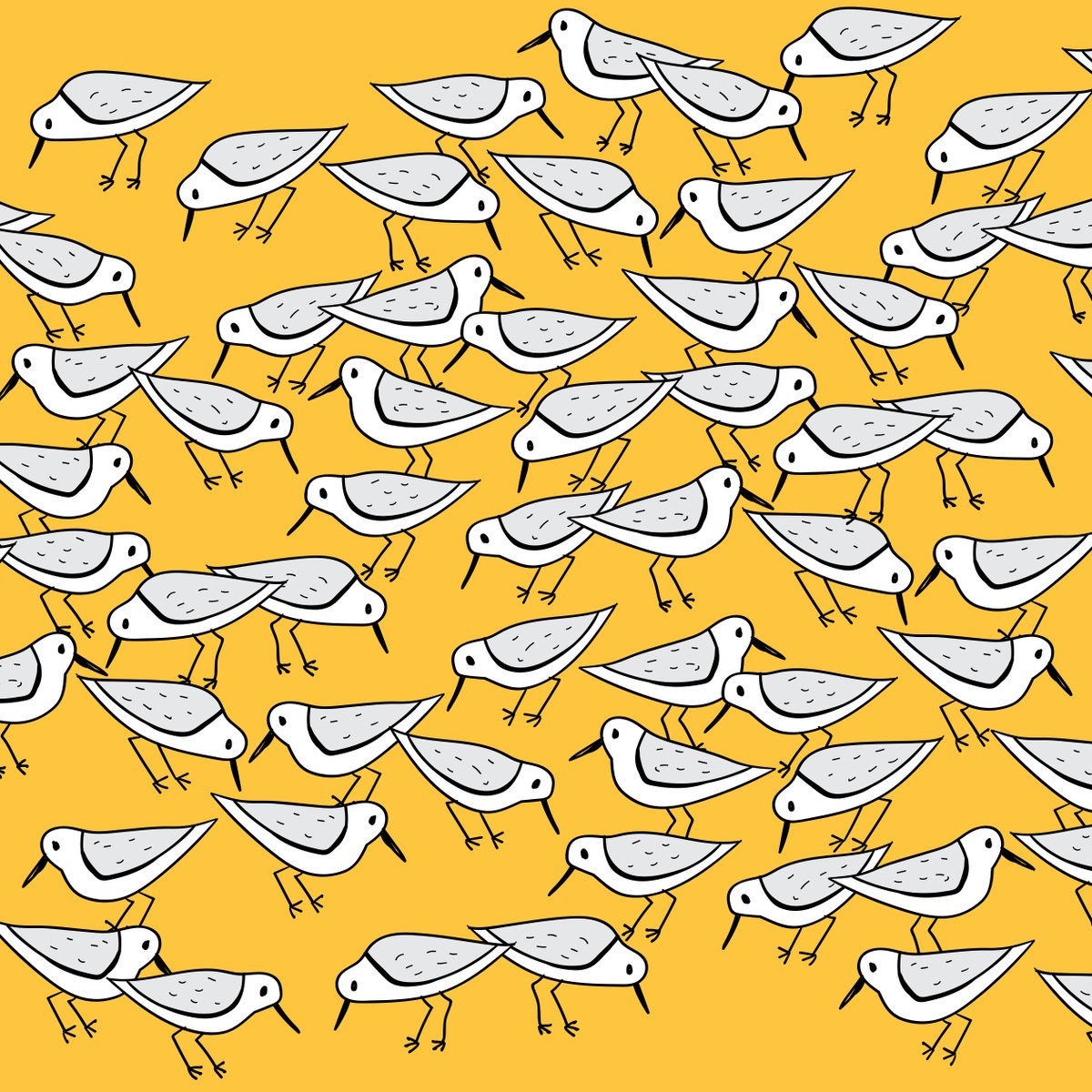 mybirdbuddy's tweet photo. Alaska’s Copper River delta can get quite busy during migration season. The setting is a popular rest stop for almost all of America’s western #sandpipers, and quite a number of #dunlins: over a million make a pit stop there to rest and refuel! Bad news if you’re a tiny clam… https://t.co/NZX3Q5iALf