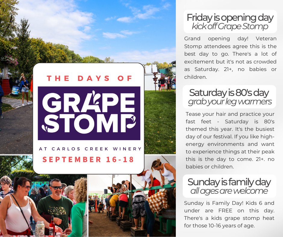 GRAPE STOMP IS COMING SEPT 16-18! When will we see you!?

GET TICKETS: ccwgrapestomp.com/admissions-tic…

#carloscreekwinery #ccwgrapestomp #exploremn #explorealex #mnfestival #grapestomping #grapestomp #mnwinery #mnwine