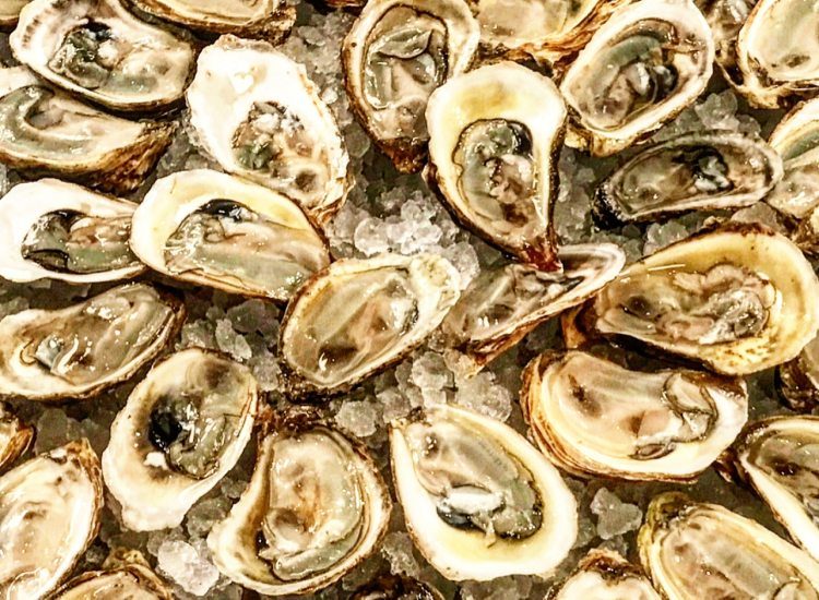 NycciNellis's tweet photo. Everything is “National” something day ~ THIS ONE is totally worth reporting on…celebrate #NationalOysterDay at some of these seafood spots ~ @allsetDTSS + @BlackSaltDC + @tonyandjoes + @thepoint_dc + @KneadHD + @ICSHDC + @Joes_DC + @hanksoysterba ++
https://t.co/6e5rO63PRh https://t.co/bhFSUvxP8I