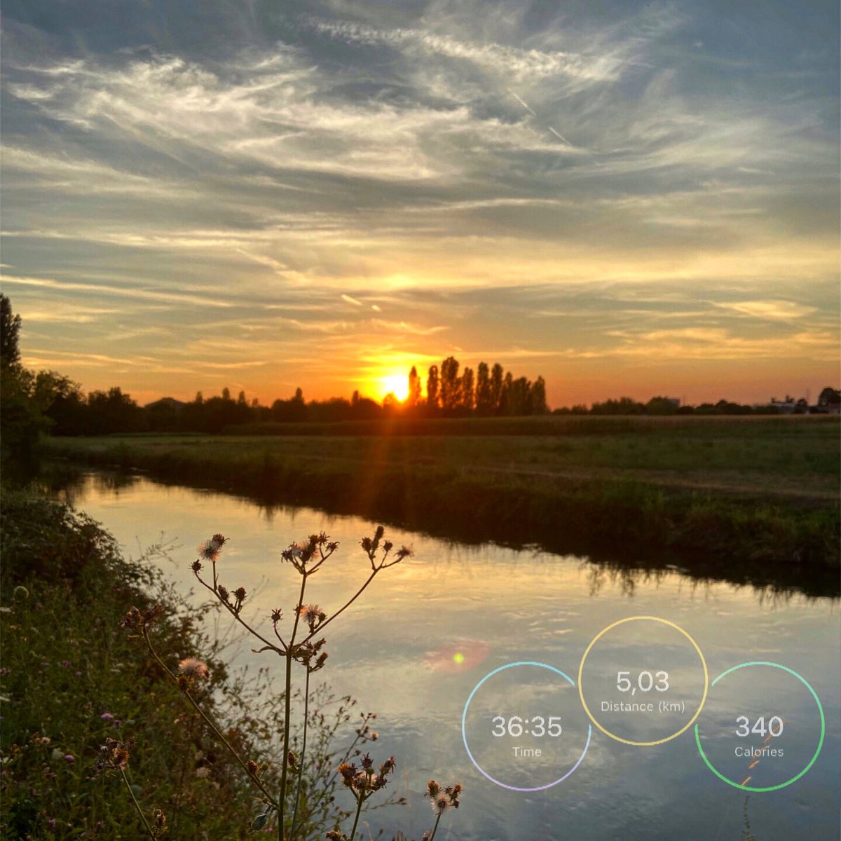 whEngdi's tweet photo. .
Hello August! 😅
#takbotuesday #presunsetrun 
.
#weekdayrun ✔️
#running #cardio #garmin #westie235 #cryfatscry #garminforerunner735xt
#sunsetphotography #picoftheday https://t.co/3nTRkk6anC