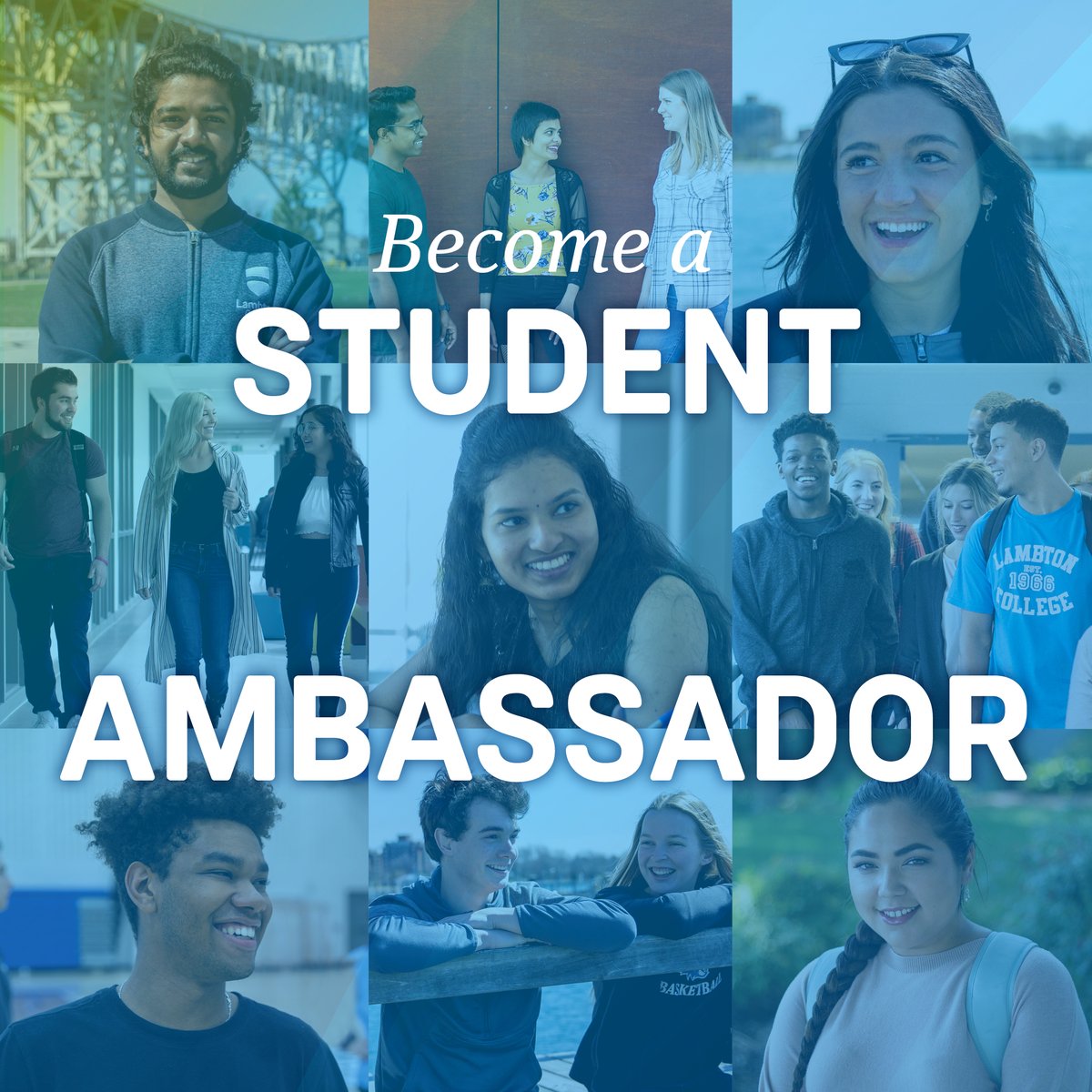 LambtonCollege's tweet photo. Apply to be a Student Ambassador this fall!🦁 

Student ambassadors get paid to attend marketing events and represent their programs, or create social media content on Tiktok/IG reels.🤳

Apply here - https://t.co/dusbI9JB5r https://t.co/AEjT8Fkhoi