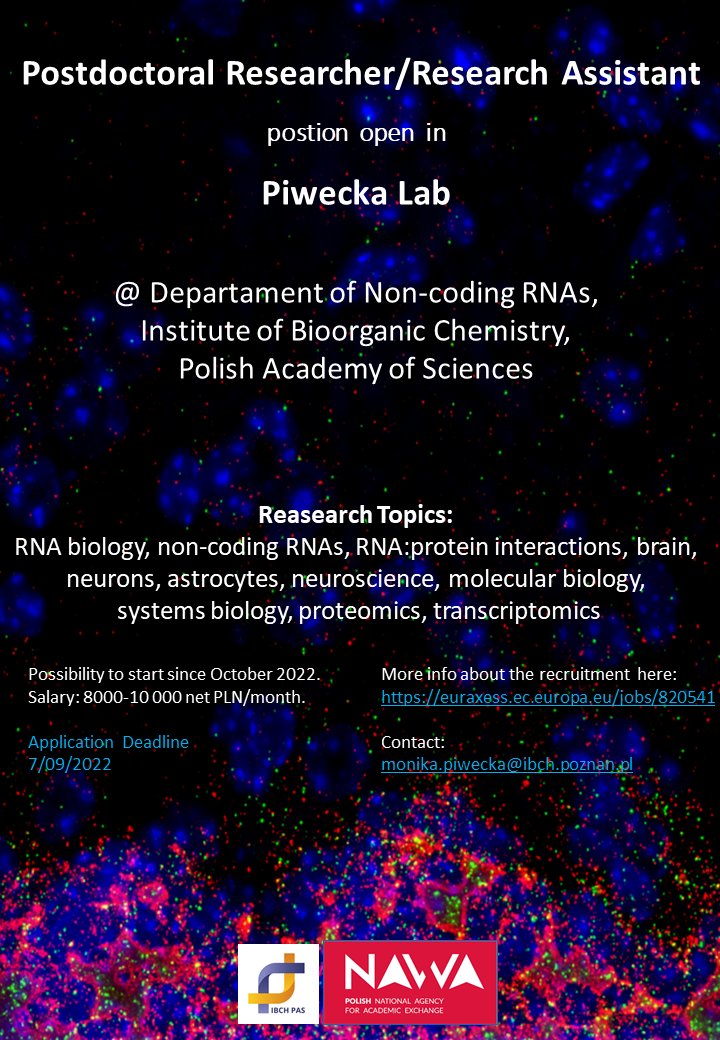We are recruiting! 🤠 
Looking for an RNA/neuro enthusiast to join as a postdoc/research assistant.
Cool projects guarnteed! 👌
More info you can find here:
euraxess.ec.europa.eu/jobs/820541
or here
portal.ichb.pl/wp-content/upl…