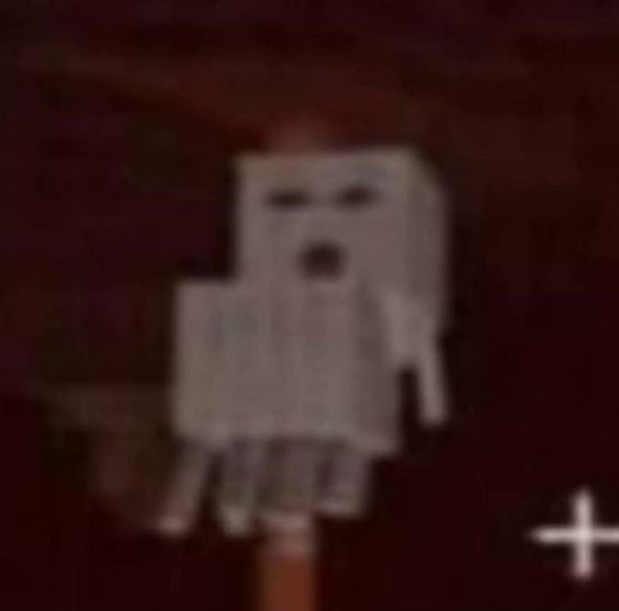 MinePerfeito's tweet photo. ABRI O MINECRAFT ÀS 3 DA MANHÃ E OLHA NO QUE DEU https://t.co/Na92PSDRBN