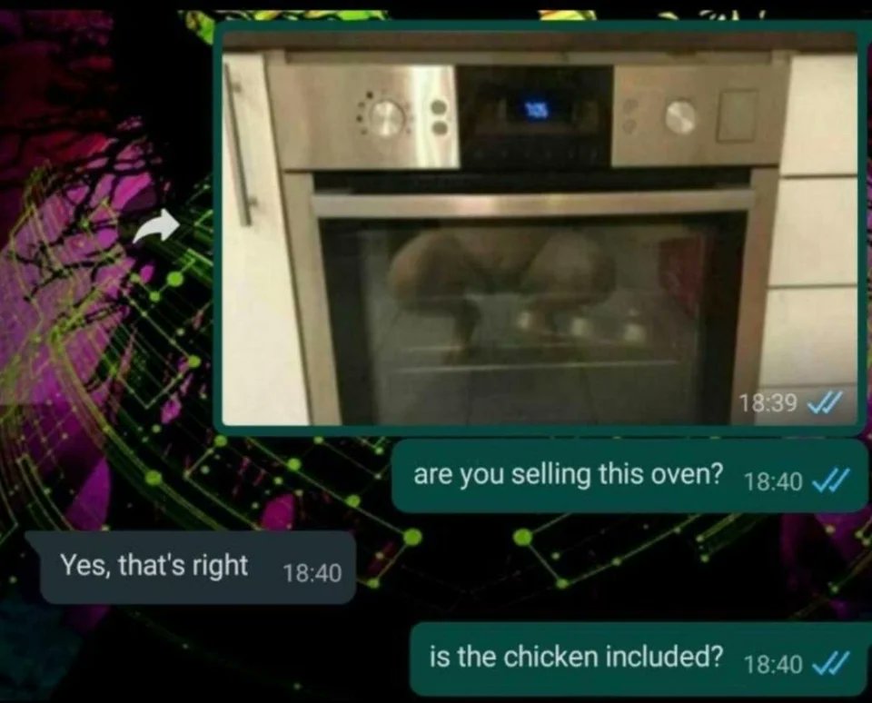 NSFWFunny1's tweet photo. Thats a plump chicken https://t.co/3eok4h4mZb