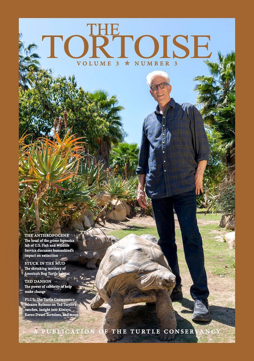 The Tortoise Project tweet media