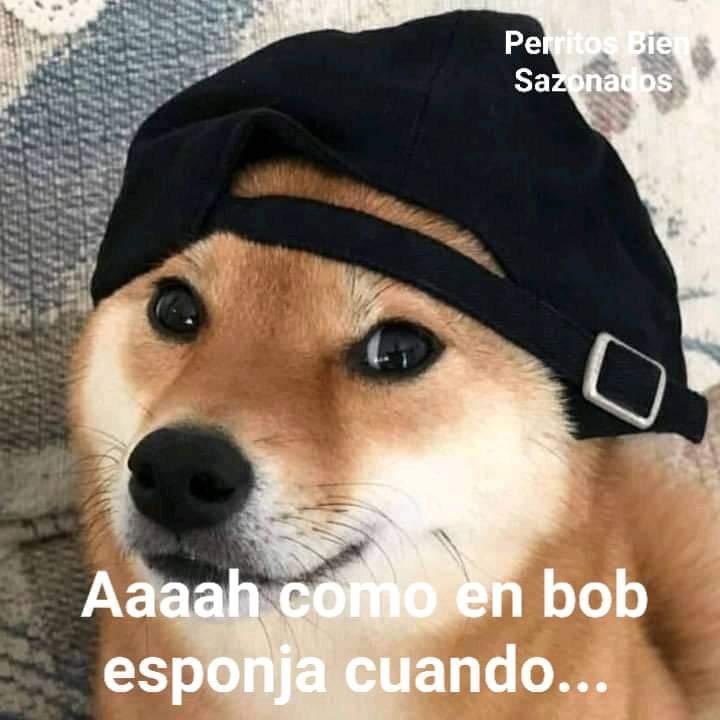 *Cualquier persona me cuenta una anécdota*
Yo: