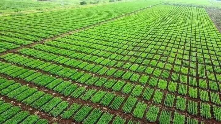 It's POSSIBLE don't tell me Africa can't do it without aids. It can be done ✅ 
#Africa stop being dependent you can stand on your own only if you UNITE. #Ethiopia had done it twice #GERD &amp; now this what’s there not to learn?  #oneafrica #swahilination