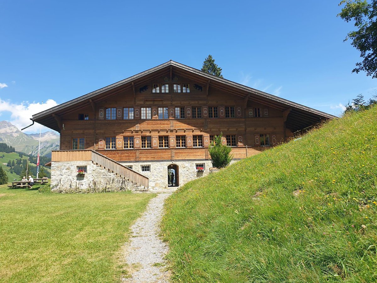 Jo Pellereau 🦉 tweet media