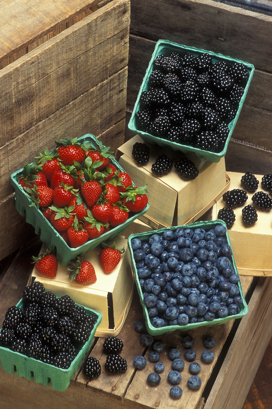 USDA_ARS's tweet photo. “If we stop adding potassium to the system, will berry yield suffer? No, yields went up when potassium rates were decreased and monitored. Growers used half the rate of fish fertilizer and saved $900/acre.” @OregonState Berry Authority Bernadine Strik, #MorrisonLecture #ASHS2022 https://t.co/OjhJrMblXT