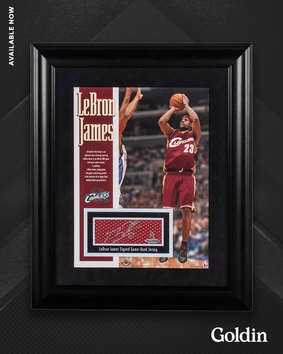 Goldin on X: 2003-04 LeBron James Game-Used and Signed Rookie