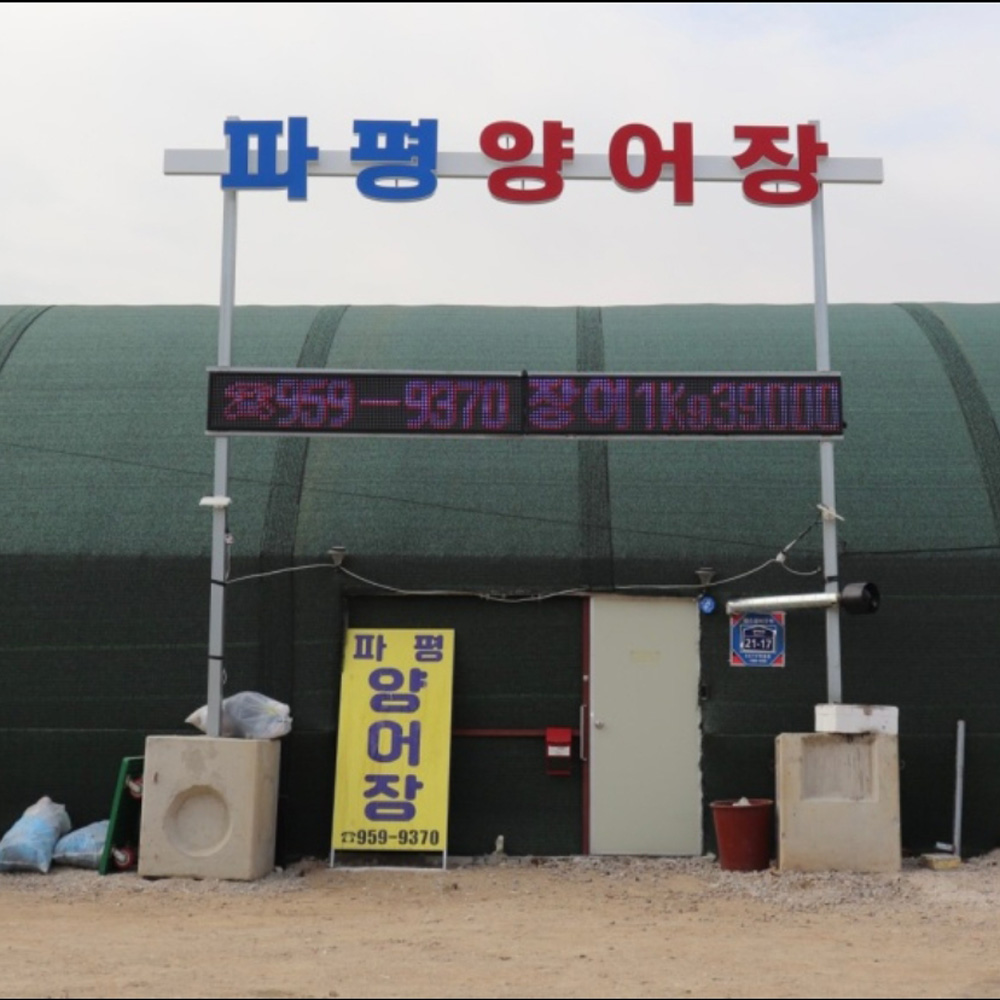 Proswing_Inc's tweet image. 경기도 파주시 파평양어장에 프로스윙머신 설치
proswing.kr
실내 골프스윙연습교정머신 연구제조 - (주)프로스윙
제품문의: 1899-6637
#골프자세연습기계 #골프자세교정기계 #골프스윙궤도연습기 #골프스윙궤도교정기 #티샷연습기 #티샷교정기 #골프머신