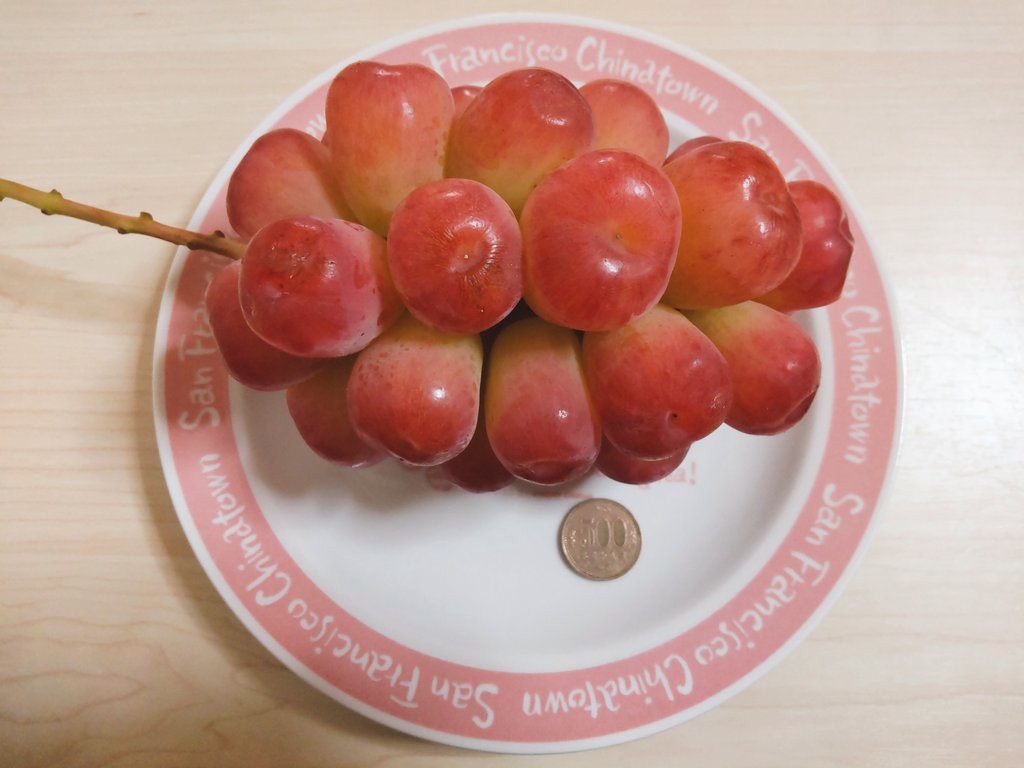 さ き くわだ農園 ぶどう農家 ぶどう 梨 白ネギ シャイン瀬戸gマイハート収穫中 品種的にも名前的にも気になる ぶどう ぶどうの世界奥が深いなー Twitter