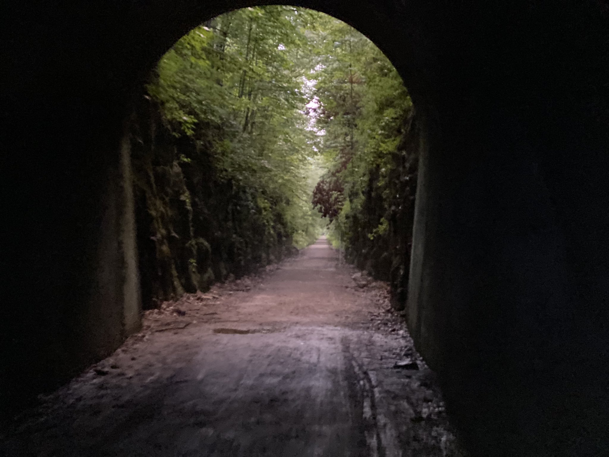 Hiking With Shawn on Twitter "Tunnel Hill State Trail railstotrails