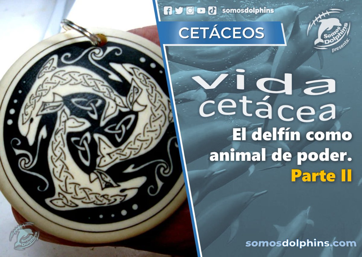 somosdolphins's tweet photo. En el plano espiritual: el delfín como animal de poder Parte II - https://t.co/a5TBAHDpmb https://t.co/WYgsBZWxAR