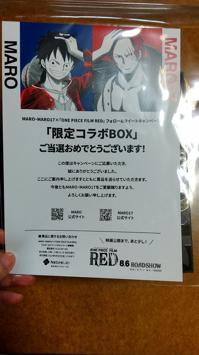 ペア ワンピース ✕ MARO キャンペーン当選品 パブミラー ルフィ