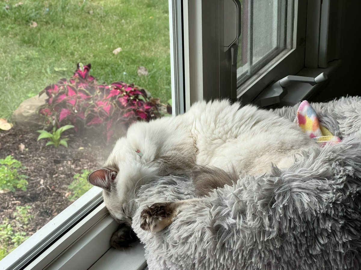 <a href="/relicofthepast/">Relic of the Past Podcast</a> <a href="/PenanceRPG/">Penance RPG 🐉 🏳️‍🌈 🐀</a> <a href="/WebWitch81000/">👾 Nearly Blind Nut is Back?! 😹</a> <a href="/StackODice/">Stack 🌻 Dice</a> <a href="/AnitaBridges2/">Anita Bridges</a> <a href="/xb0shi3x/">Brandalf the Blonde</a> <a href="/tykashow/">🐋</a> <a href="/DeGustafson/">Derek Gustafson (he/him) is Catface Games</a> <a href="/ttjourneys/">The Tabletop Journeys Podcast</a> <a href="/secretsandcons/">secretsandconsequences</a> <a href="/adora_belleD/">🇬🇧🇳🇿</a> <a href="/Stories_bySarah/">Sarah Danielle</a> <a href="/NSFWActualPlay/">Not Safe For Wizards</a> @DangerDames @TheDice_Casters <a href="/brainytherpgcat/">Brainy The RPG Cat</a> I wish I could sleep that heavy lol