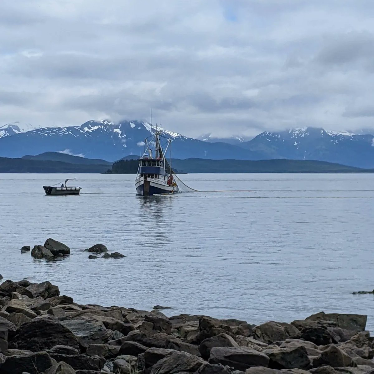 sharktagger_hi's tweet photo. Last week #sharktagger team member Dani traveled to Juneau, Alaska to share progress on a #Ridge2Reef & #Icefield2Ocean collaboration with colleagues from the Pacific Islands and Alaska Climate Adaptation Science Centers #PICASC #AKCASC #Hawaii #Alaska #SisterStudy https://t.co/MLnrNo3NBS