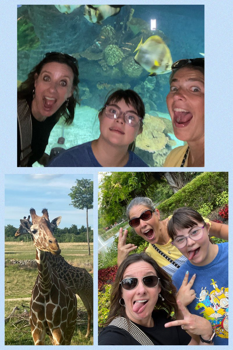 Melisa Hayes 🌈💙💛 tweet media