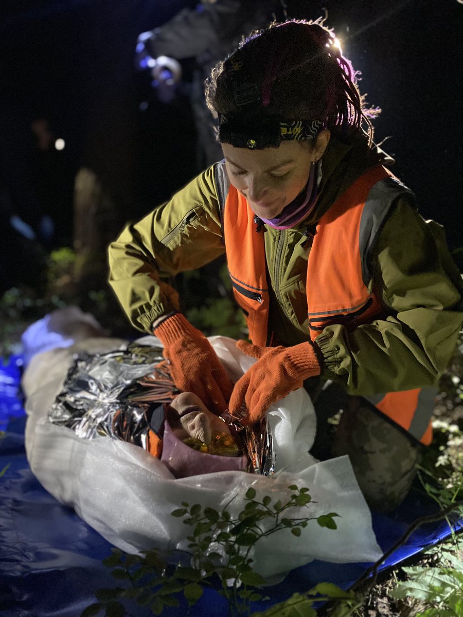 Веснушка tweet media