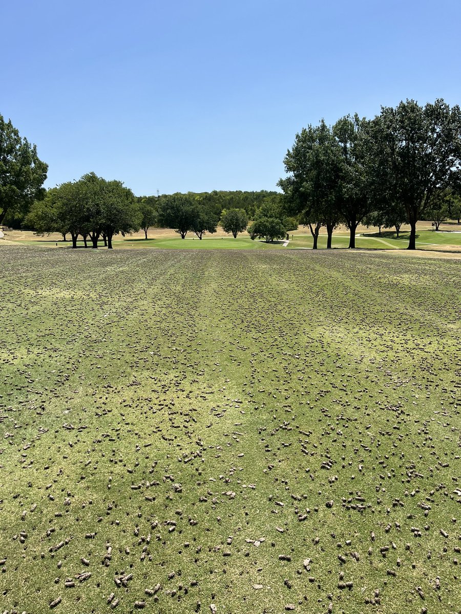 Closed week continues today. A lot of work but much needed with tee and fairway aerification. Will begin topdressing tomorrow