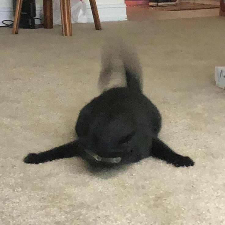 s. (@kiyoomiweb) on Twitter photo 