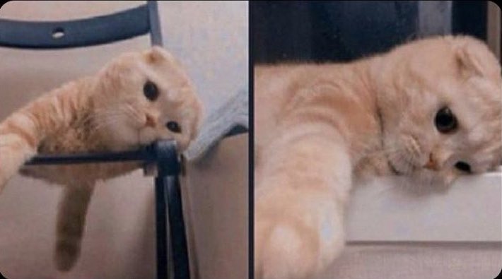 como eu fico quando você não me manda mensagem