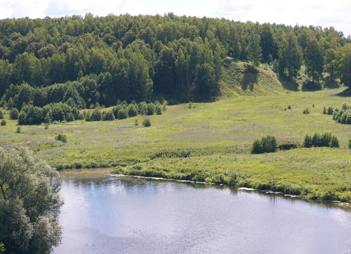 saab93saab's tweet photo. Чёртов поворот на Пьяне 🌿🌿🌿 https://t.co/Blsbjqf8Tg