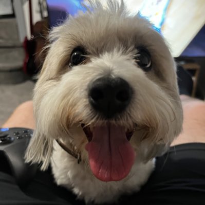 Andy_G92's tweet photo. #NewProfilePic https://t.co/Gpw5blLYhl