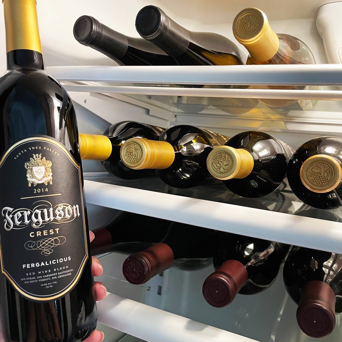 FergusonCrest's tweet photo. Ready to stock up your #winefridge? For one week only, enjoy 40% OFF #wine purchases of 12 bottles or more, thru 8/8! 🍇🍷👍 #favoritewine #californiawine #winelover #winecase #caseofwine #fergalicious #syrah #axljack #grenache #viognier #winesale #fergie https://t.co/ogY7Jk4KCJ https://t.co/MdCbeuN9PG