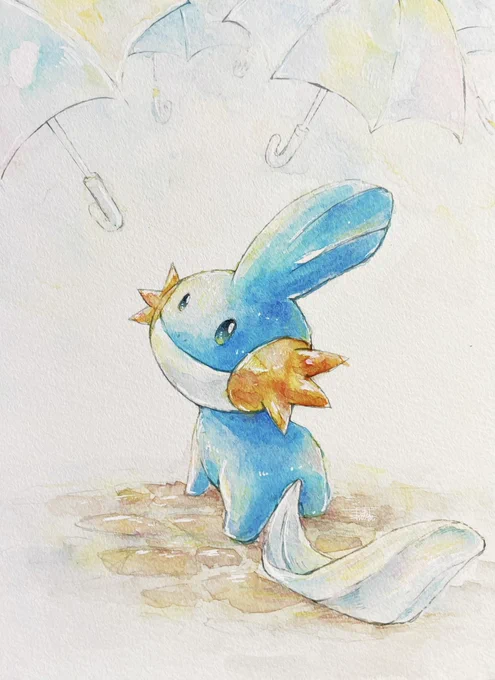 ミズゴロウ 