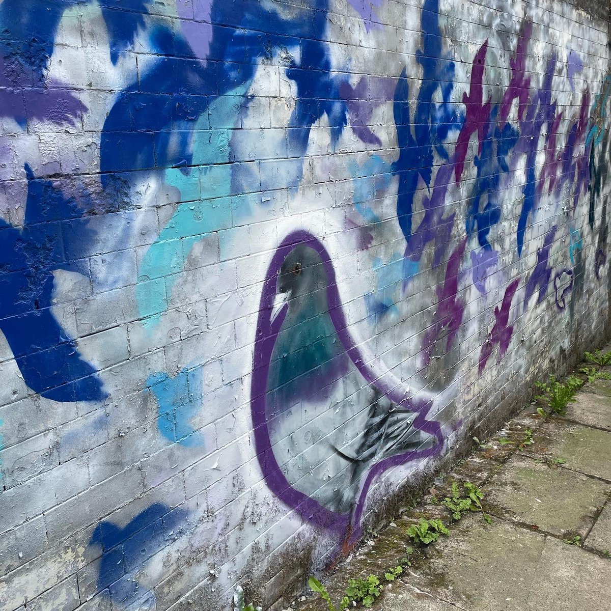 @PhilTomlin_Art has just installed this beautiful street artwork within my beautiful village on a old dull, graffitied railway path

#pigeonspatterandpathways #oneren #renfrewshire #graffiti #graffitiart #pigeons #pathways #patter #sustrans #scottishrunning #streetart #kilbarchan