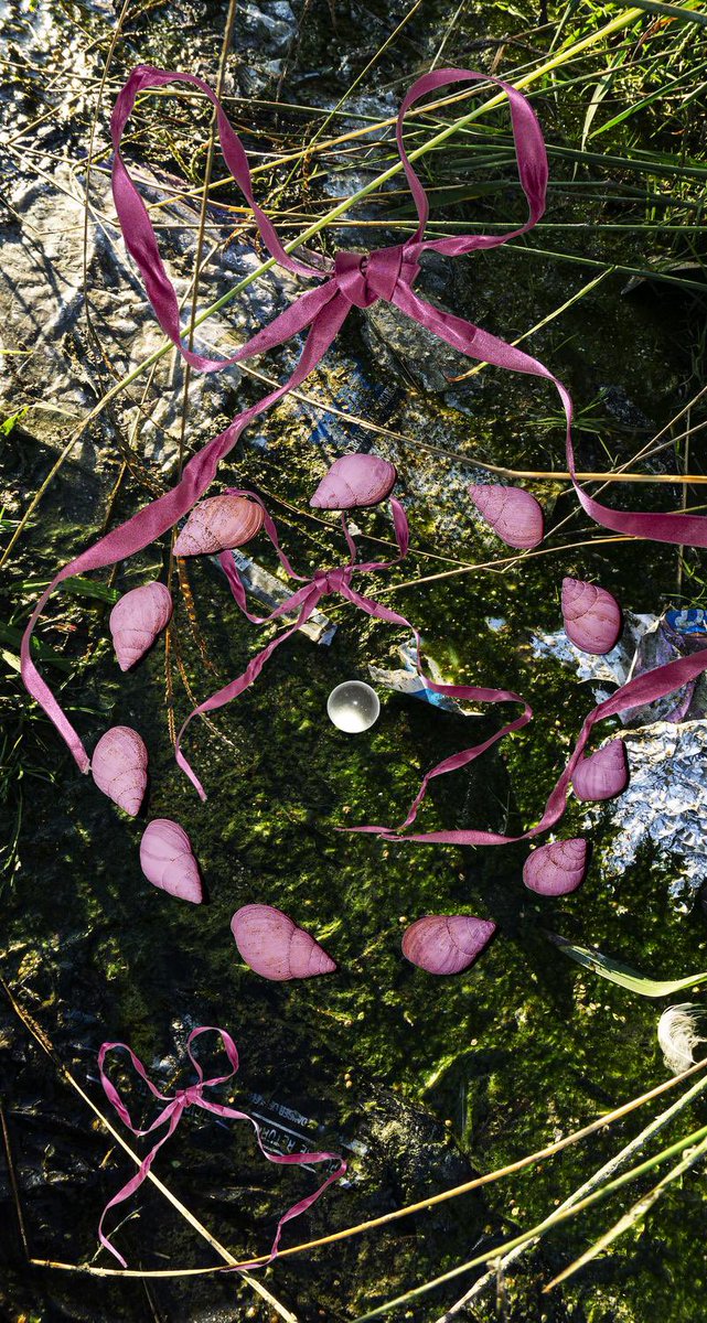 apocene's tweet image. The dress vs. the print. 🌱

Graphic photo-print mesh dress by Ramona Gomez #emergingdesigner #handmadefashion