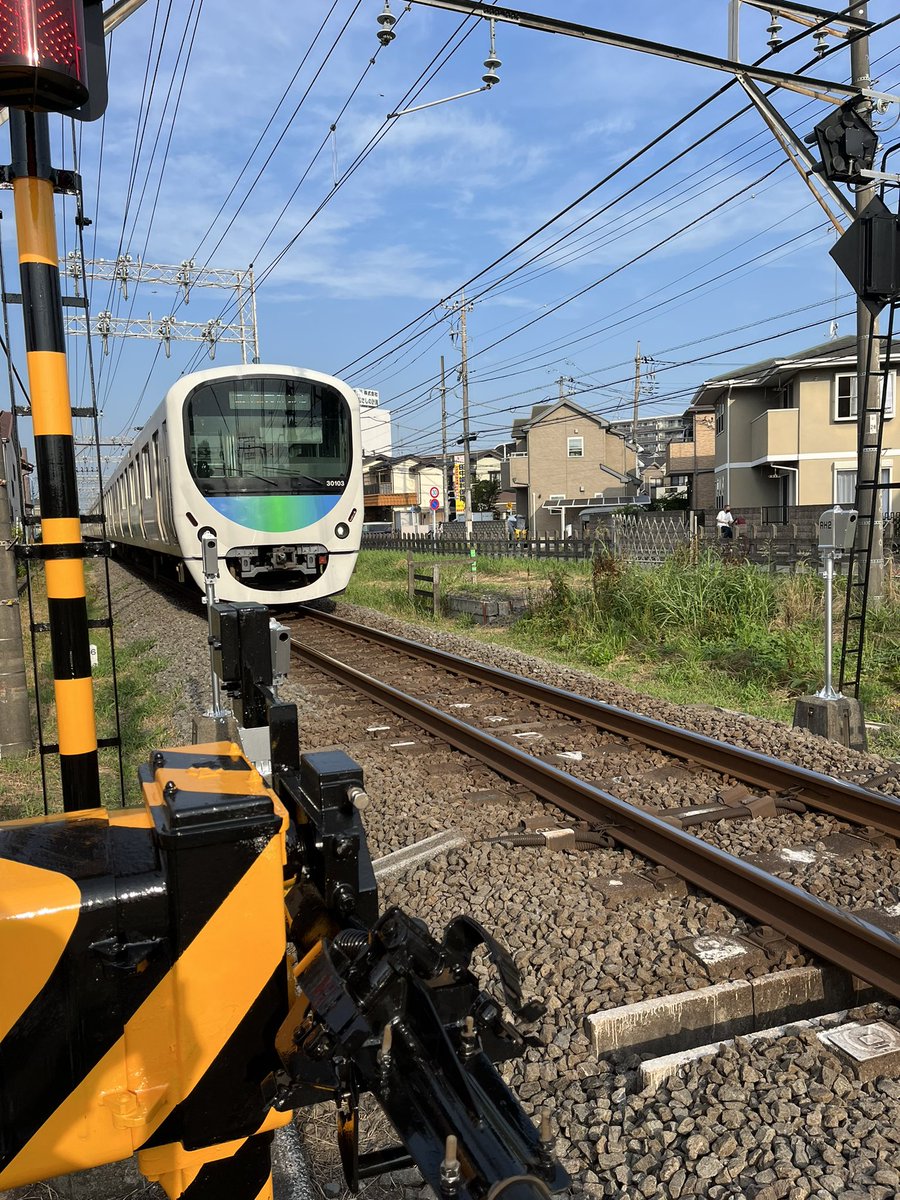 mikisensei51's tweet photo. おはようございます。
早朝とある。ほんとに早朝に出ないと歩くのもキツい。日本大丈夫なの？
お仕事、子育て、主婦の皆さん、今日も体調に気をつけて頑張ってください👍

#DEEPSQUAD
#今日のお供は
#DPARTURE
#今日のとあるは
#玉川上水 https://t.co/FGTTtRIf1D