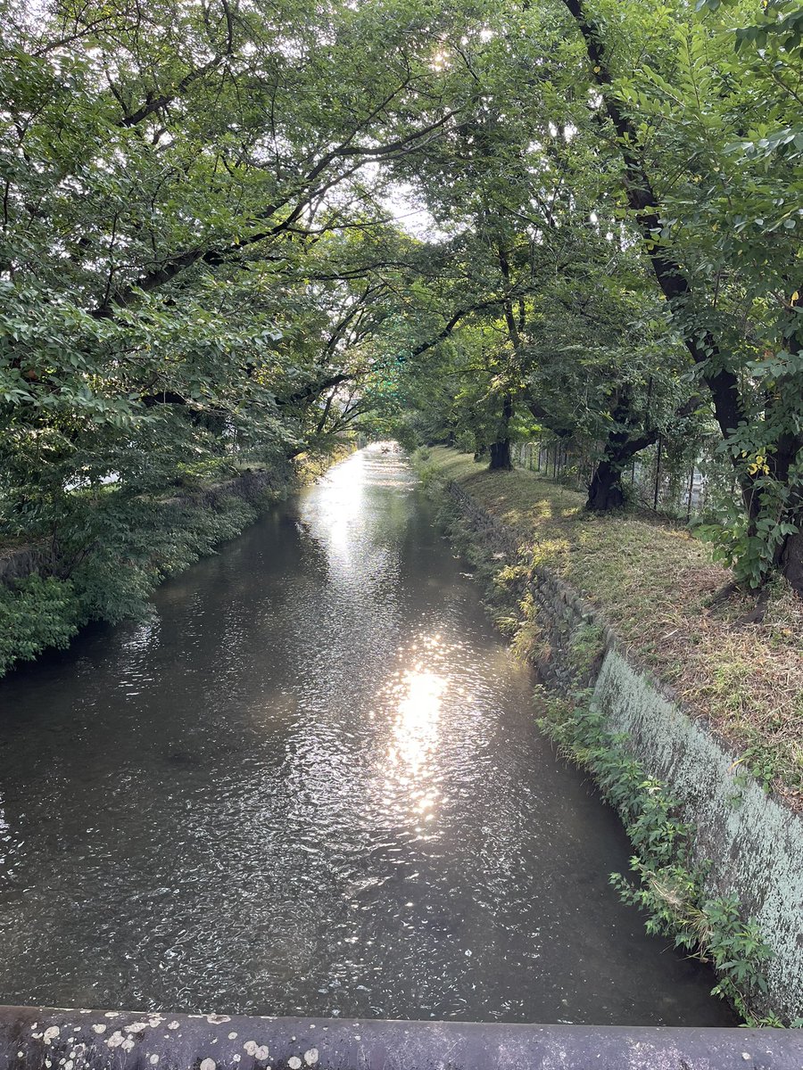 mikisensei51's tweet photo. おはようございます。
早朝とある。ほんとに早朝に出ないと歩くのもキツい。日本大丈夫なの？
お仕事、子育て、主婦の皆さん、今日も体調に気をつけて頑張ってください👍

#DEEPSQUAD
#今日のお供は
#DPARTURE
#今日のとあるは
#玉川上水 https://t.co/FGTTtRIf1D
