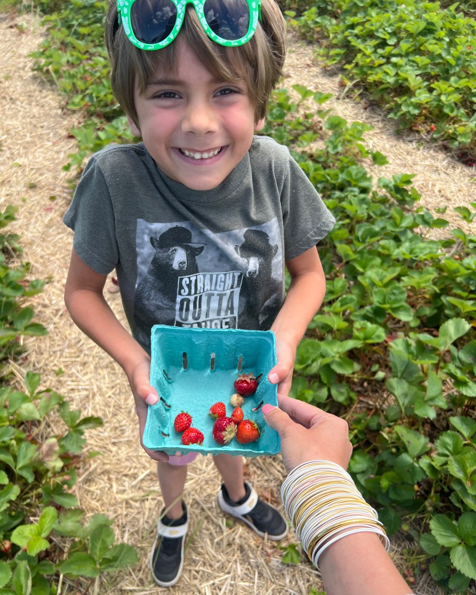 Em_Ol's tweet image. Question, what is better than strawberries that are local and hand-picked?! Answer: Nothing 🍓