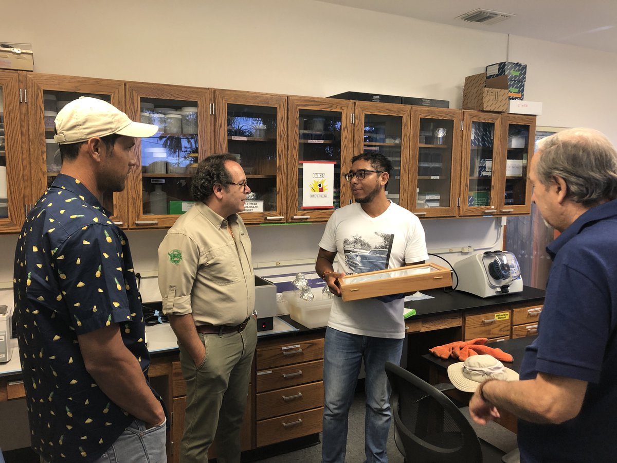 ClinicPlant's tweet photo. Busy day at the Plant Clinic! First #avocado sunblotch sample (for me), bacteria black spot on #mango, visit by one of our #industry sponsors and by former postdoc @jumsoares1 https://t.co/b1S27CHtw1