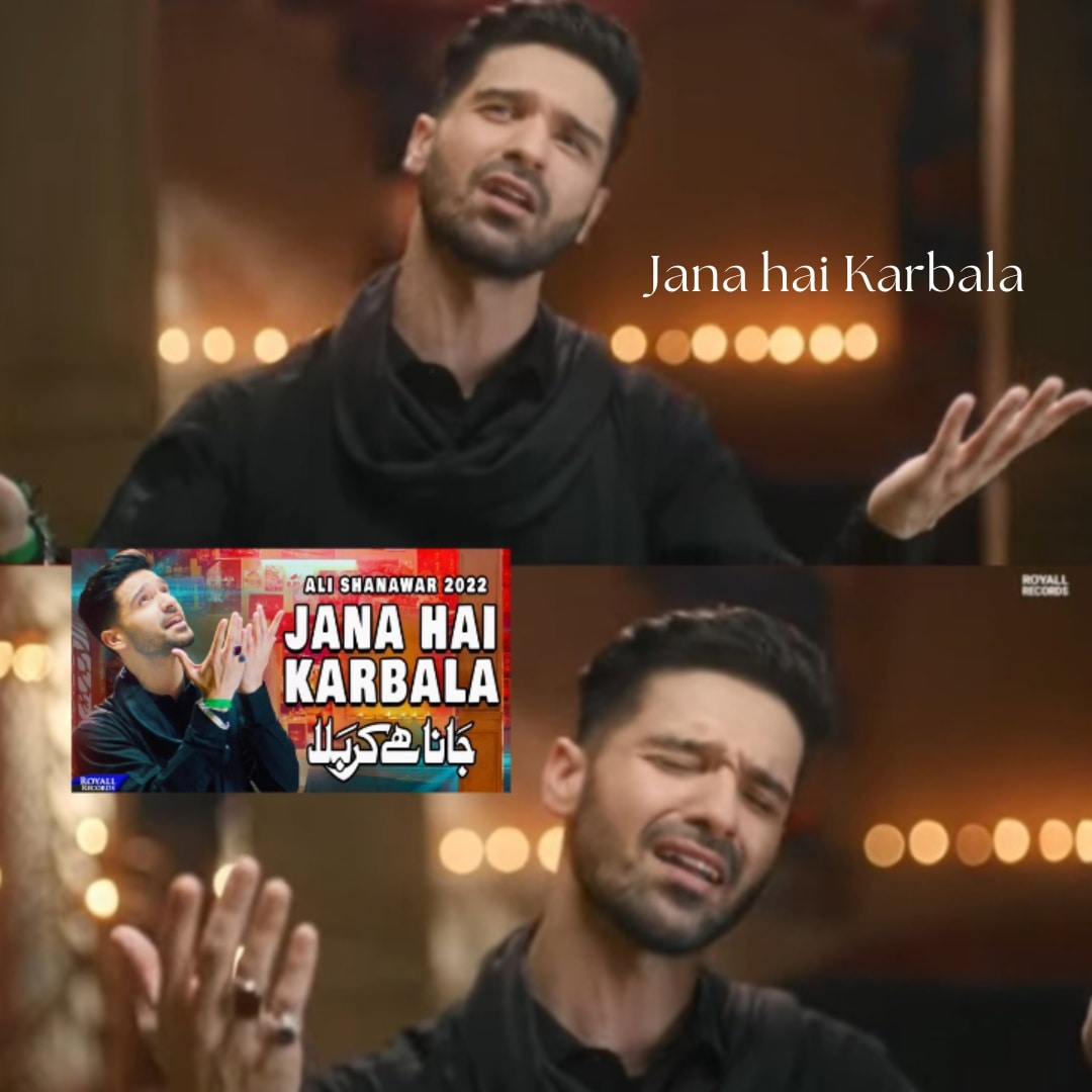 Hashirr110's tweet photo. The way @AliShanawar1 says "Sun na hai haan humein sun na hai, Haram e Moula ki woo Azan sun na hai" HAYEEEE seedha dil pe lagta hai❤️❤️❤️>>
#JanaHaiKarbala https://t.co/nONde9TGul