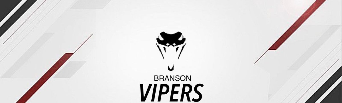 VipersBranson's tweet photo. Hello and welcome! We are Branson Vipers! We are a up and coming Esports Org!
Owners:
@Rio__956
@lagsw1tch
This is just the beginning! #GoBV https://t.co/nkfkae1hDU