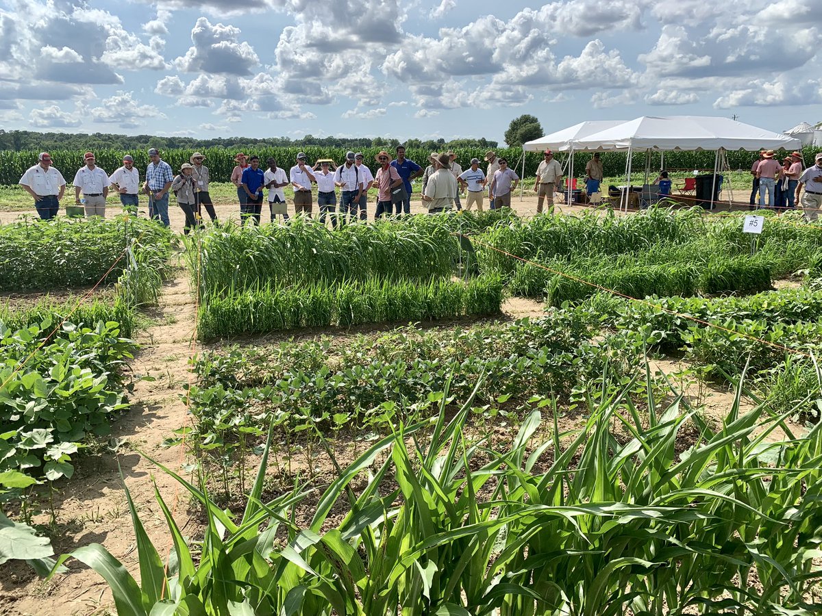 David Russell tweet media