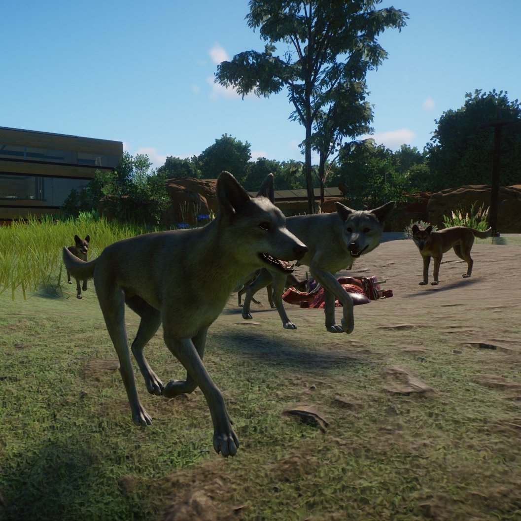 JewJuBeee's tweet photo. We built the Dingo habitat in todays stream! thank you to everyone that stopped by! https://t.co/pdQbfj9kDB